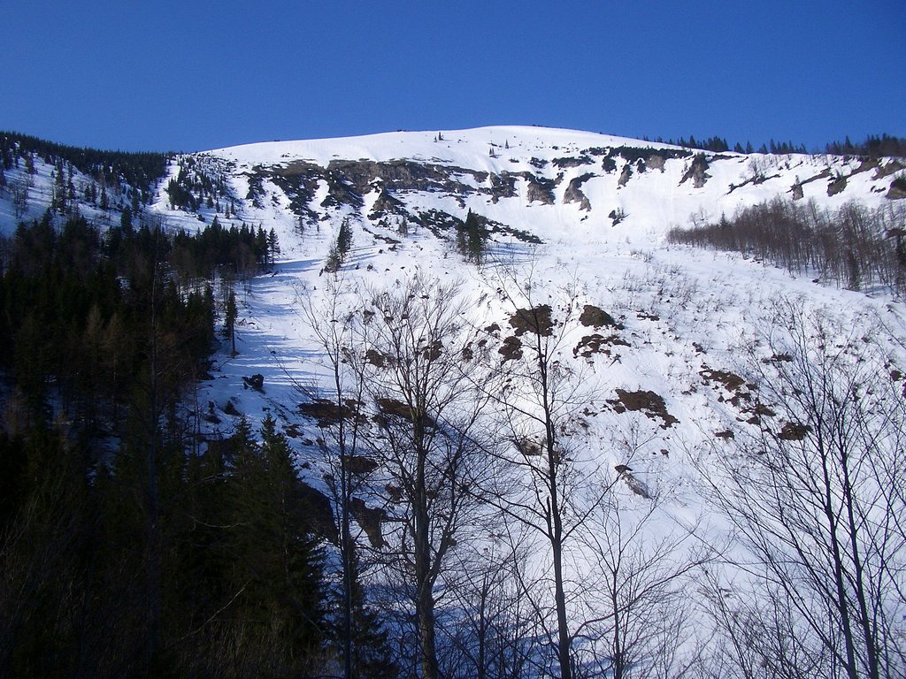 CIMG4335.JPG