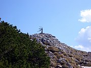 CIMG4351.JPG