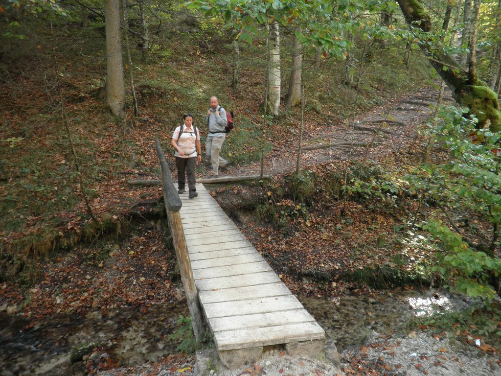 PA040217.JPG