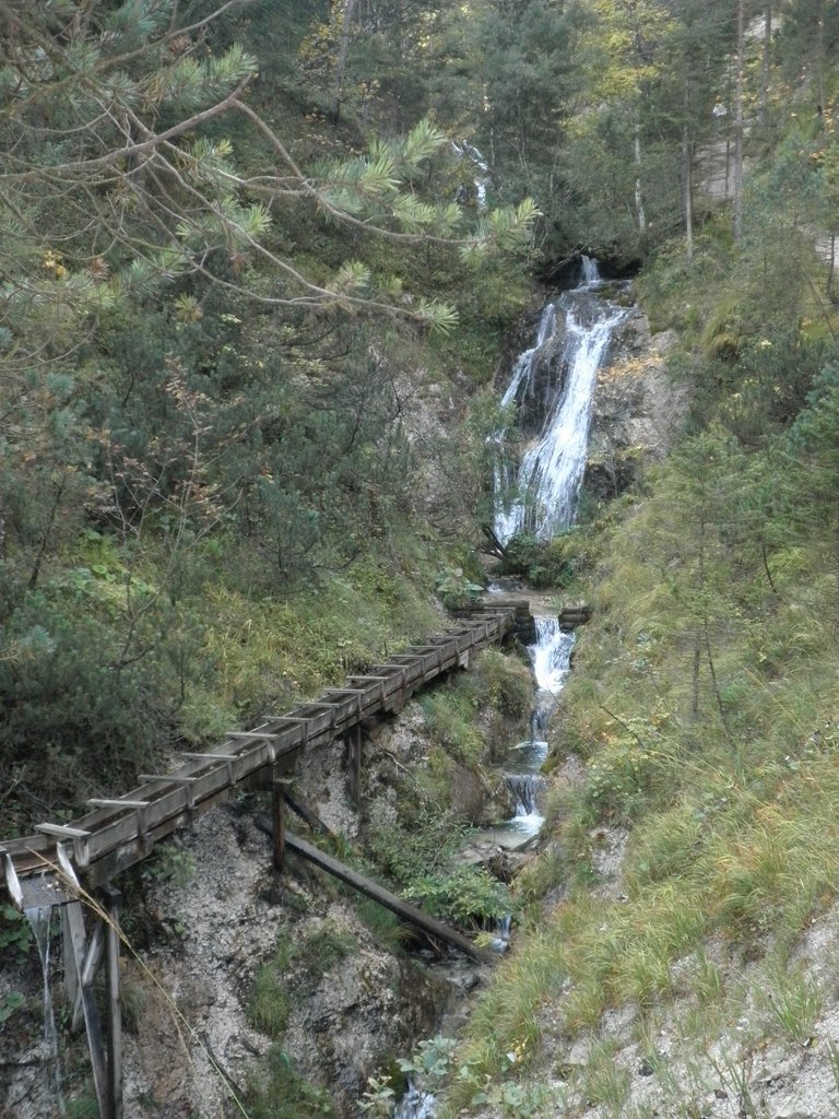 PA040223.JPG