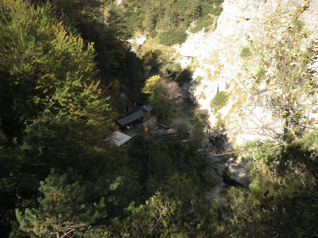 PA040225.JPG