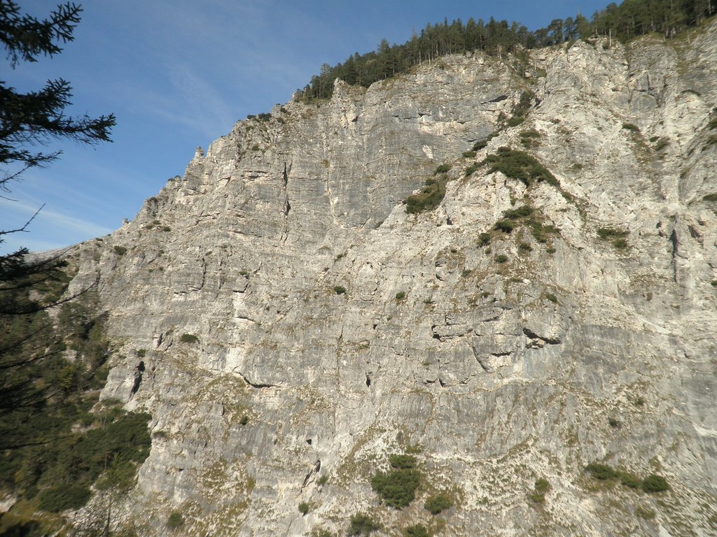 PA040226.JPG