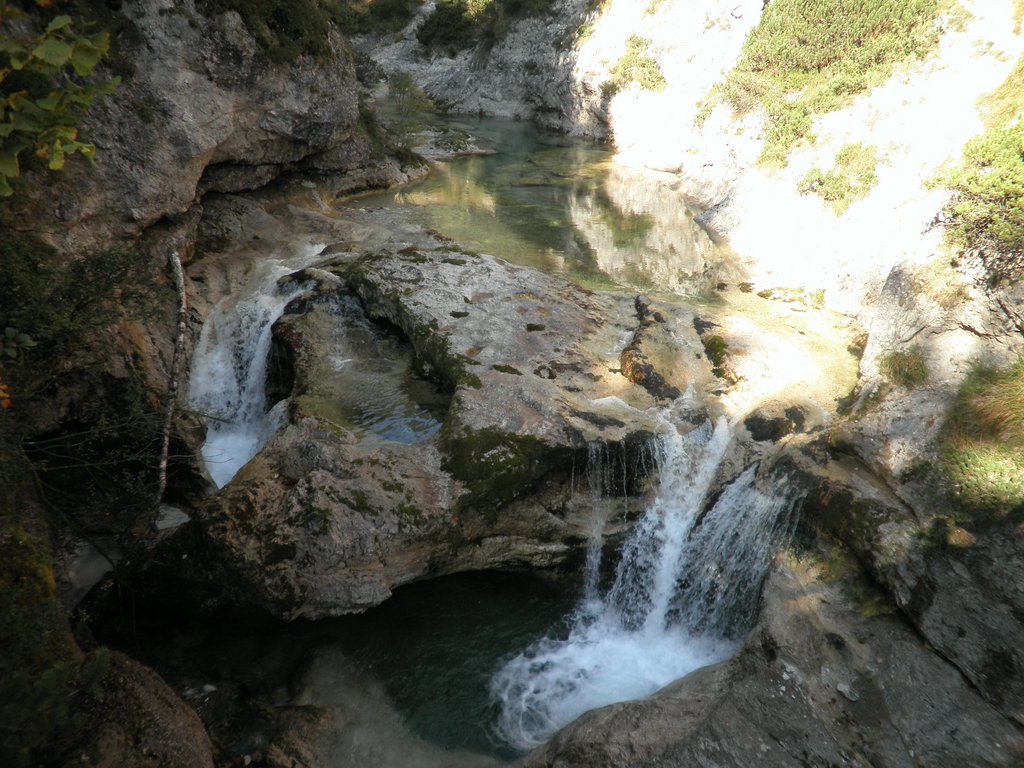 PA040228.JPG