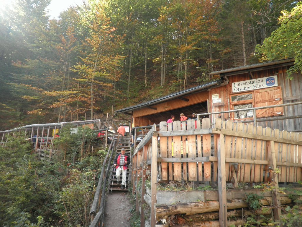 PA040229.JPG