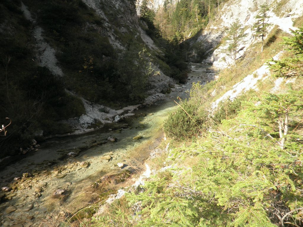 PA040238.JPG