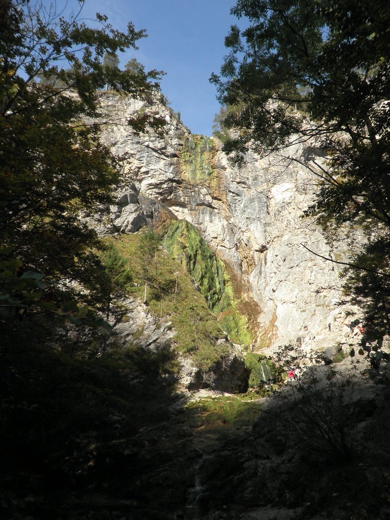 PA040244.JPG
