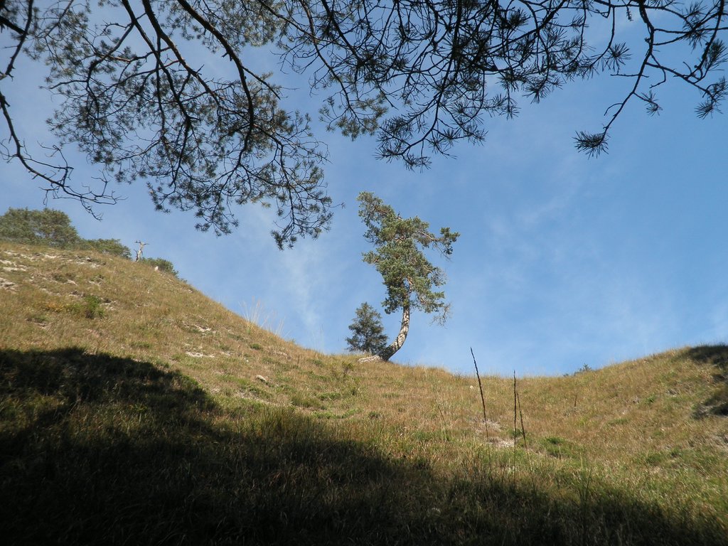 PA040253.JPG