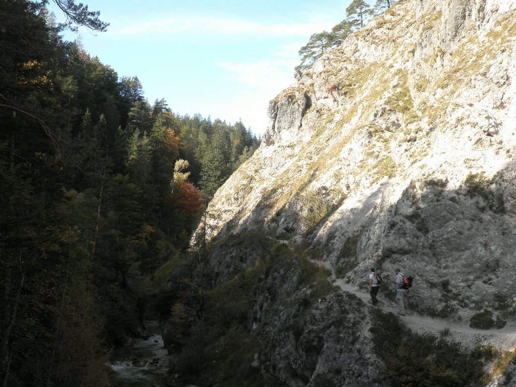 PA040256.JPG