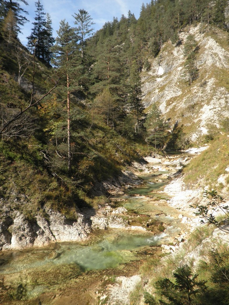 PA040262.JPG