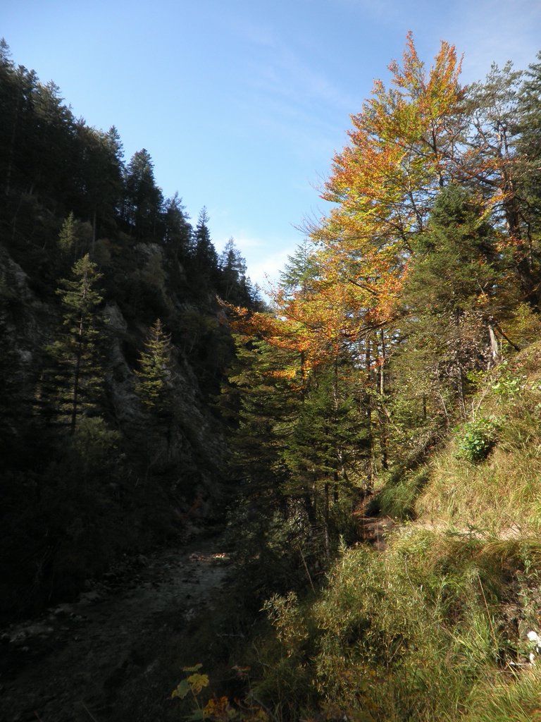 PA040271.JPG