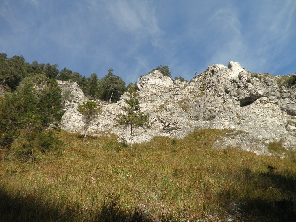 PA040272.JPG