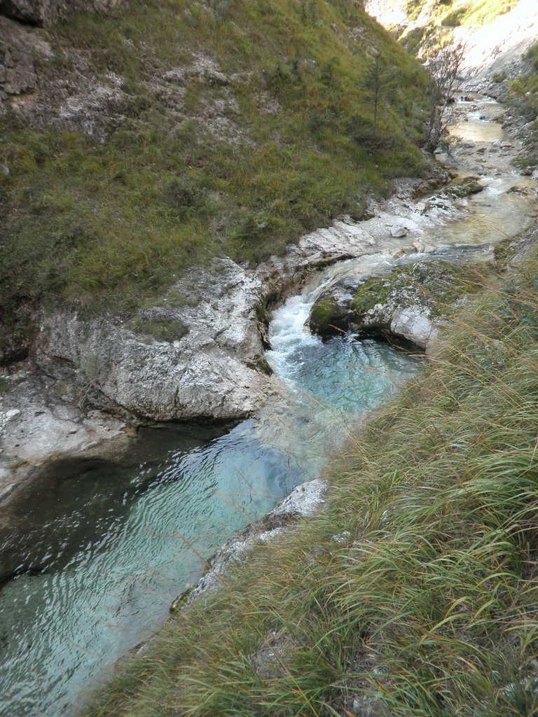 PA040277.JPG