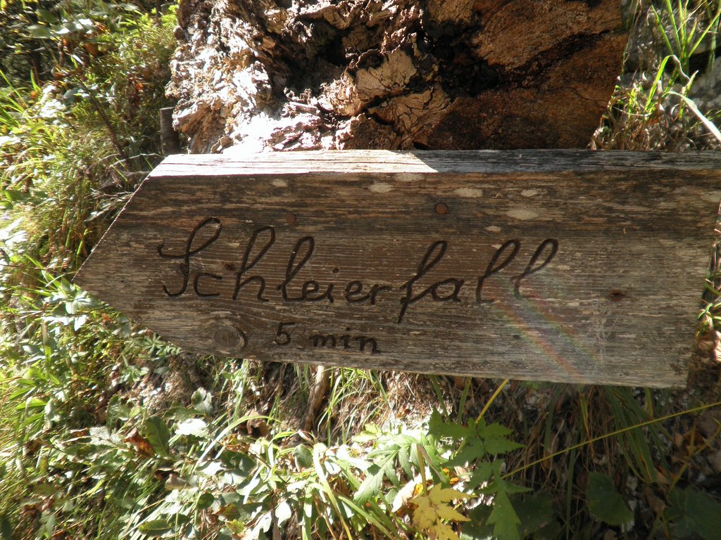 PA040287.JPG