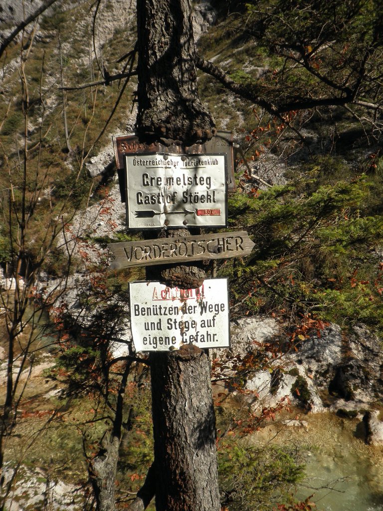 PA040293.JPG