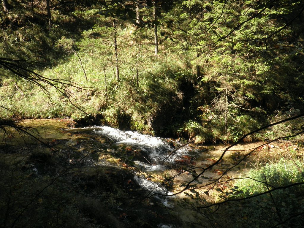PA040303.JPG