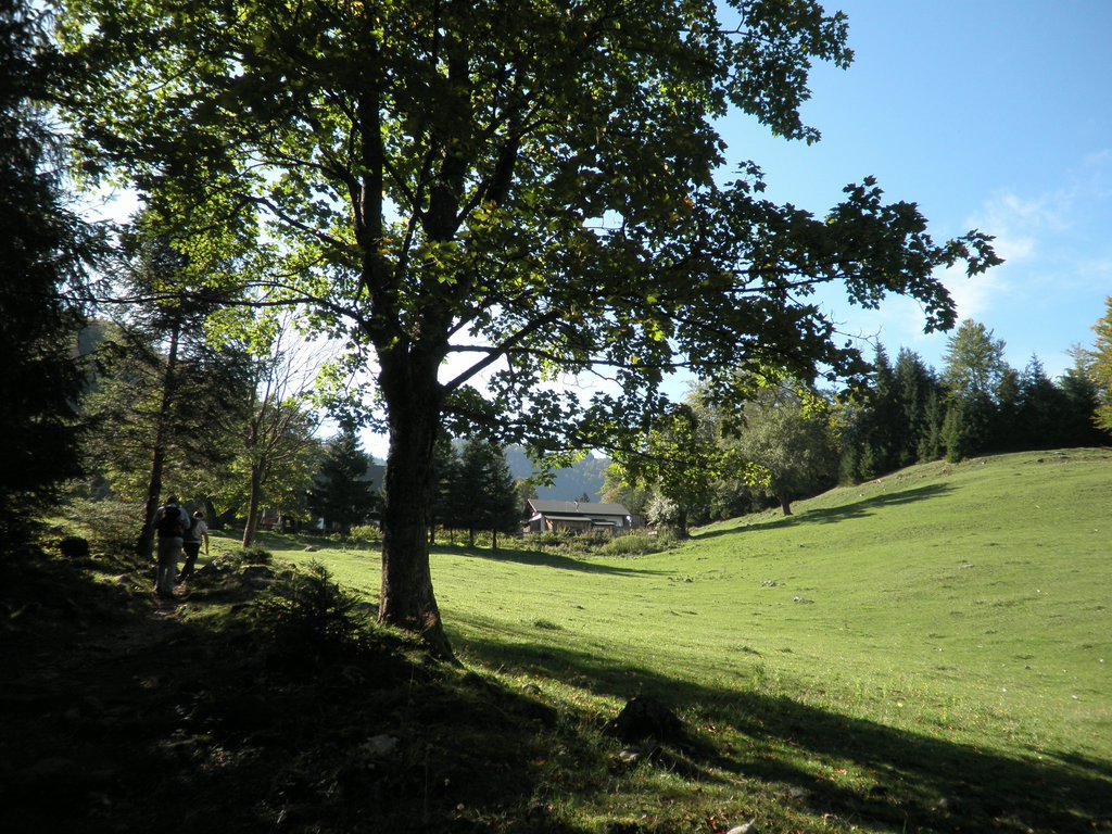 PA040309.JPG