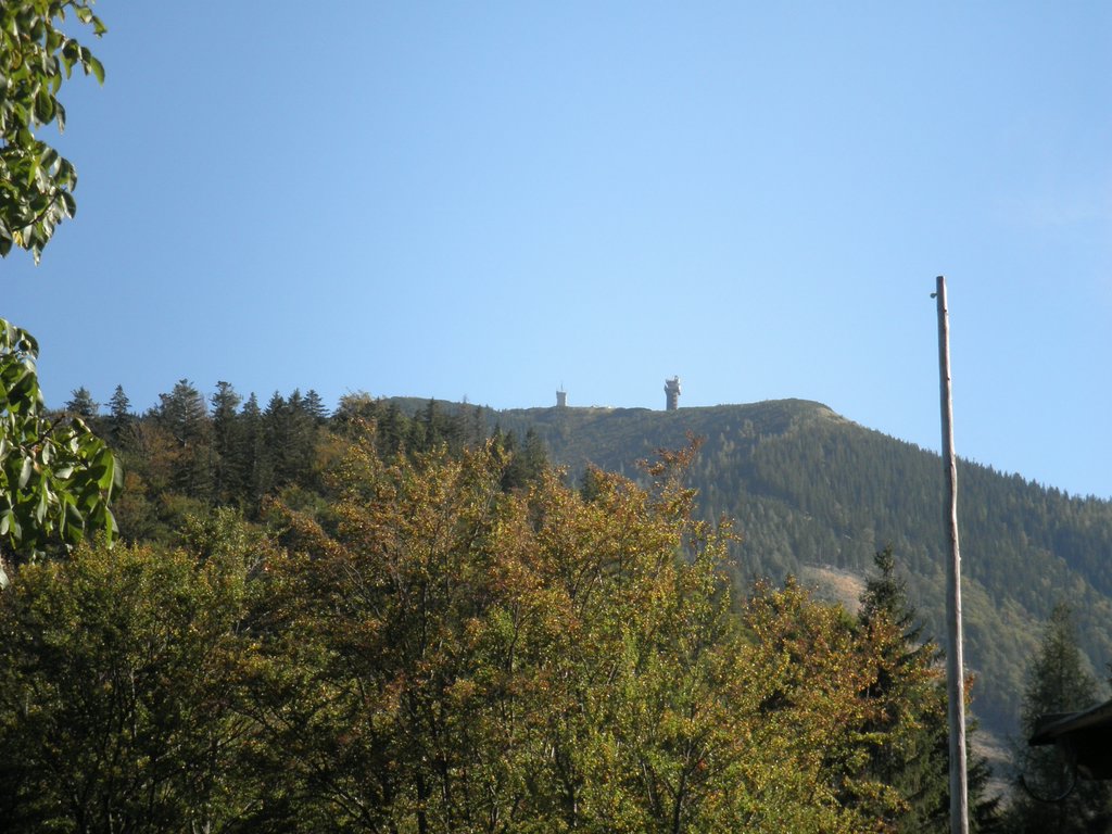 PA040321.JPG