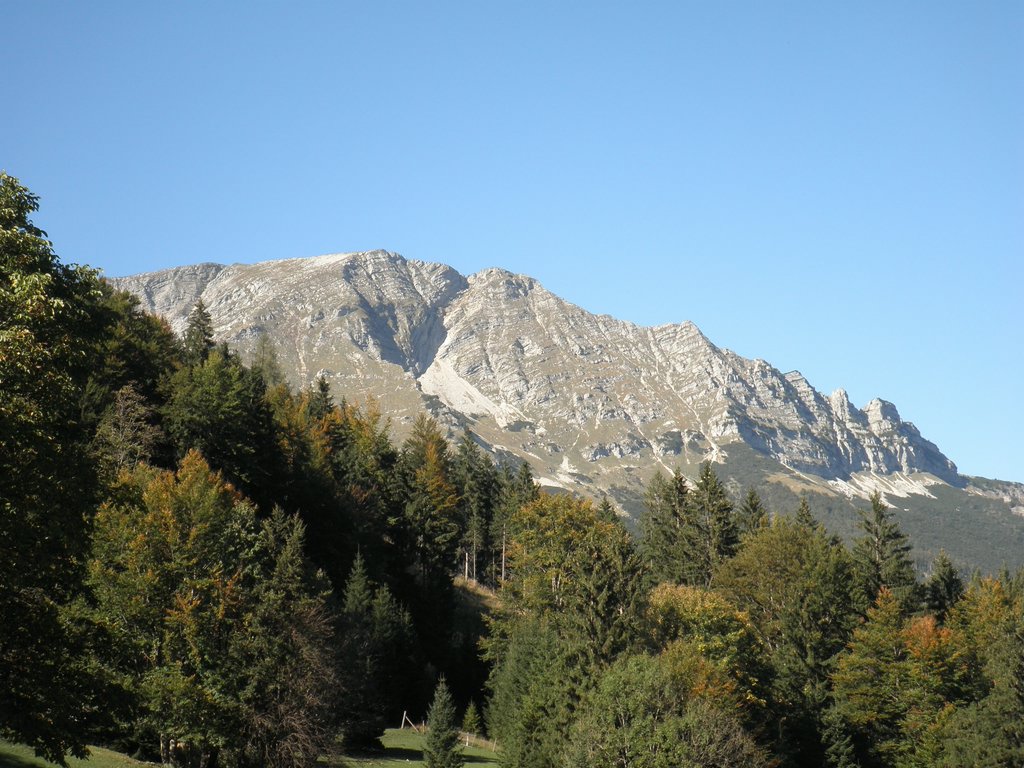 PA040323.JPG