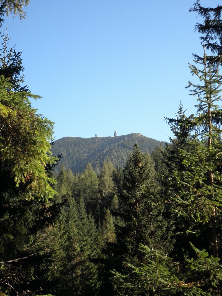 PA040328.JPG