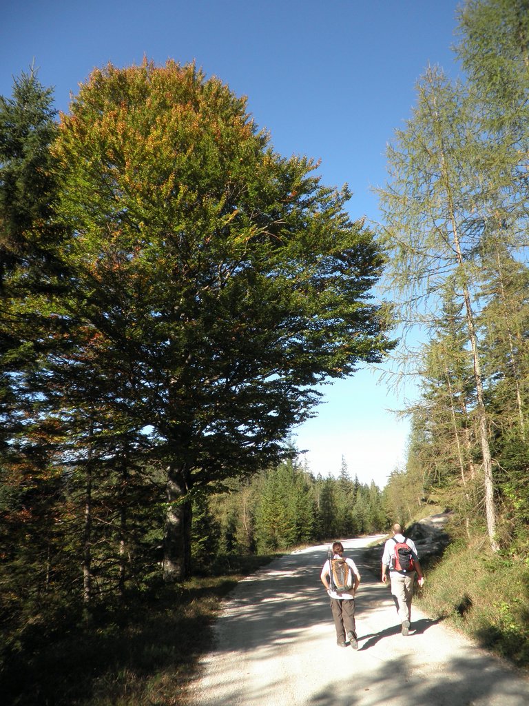 PA040338.JPG