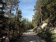 PA040214.JPG