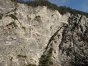 PA040227.JPG