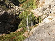 PA040242.JPG