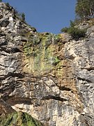 PA040243.JPG