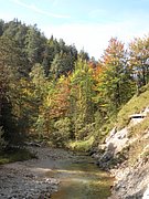 PA040246.JPG