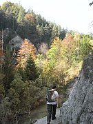 PA040249.JPG