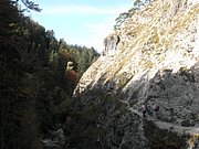 PA040256.JPG