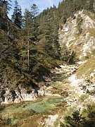 PA040262.JPG