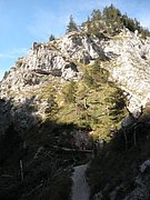 PA040274.JPG