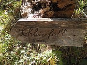 PA040287.JPG