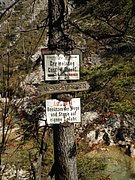 PA040293.JPG