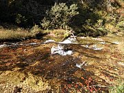 PA040300.JPG
