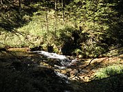 PA040303.JPG