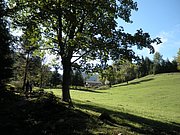 PA040309.JPG