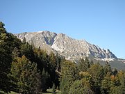 PA040323.JPG