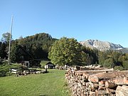 PA040327.JPG