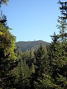 PA040328.JPG