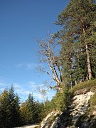 PA040347.JPG