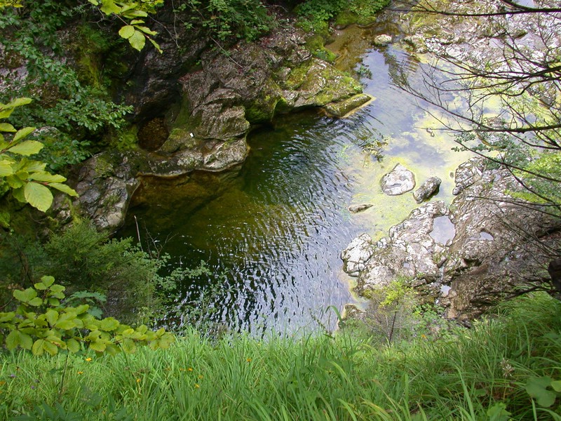 DSCN3274.JPG