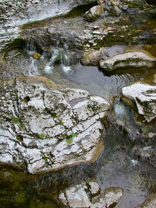 DSCN3281.JPG