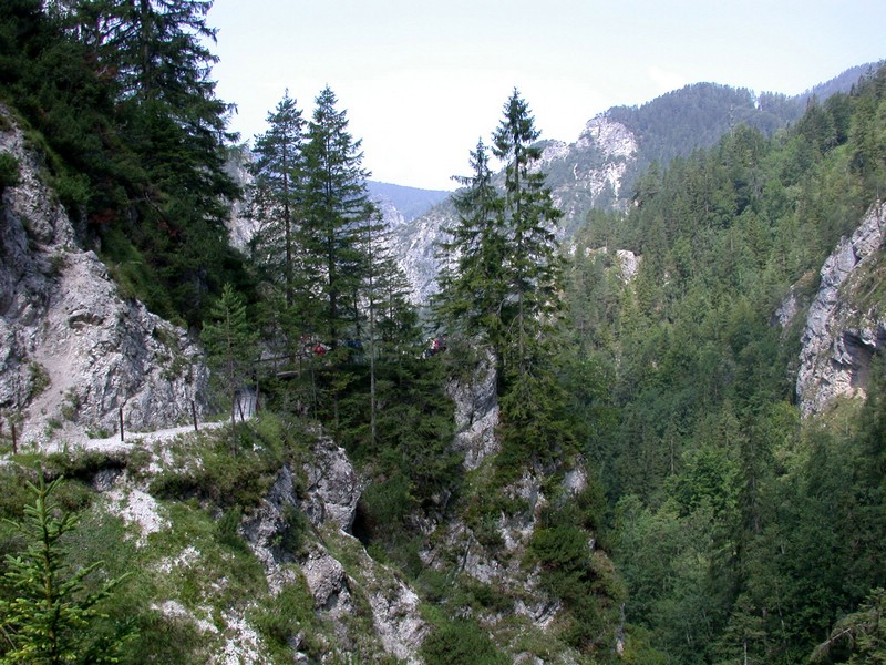 DSCN3286.JPG