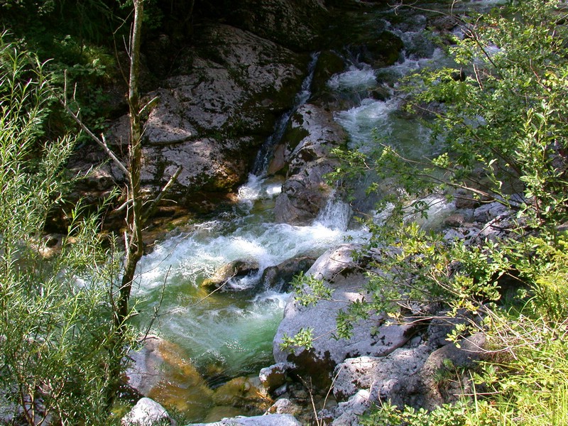 DSCN3294.JPG