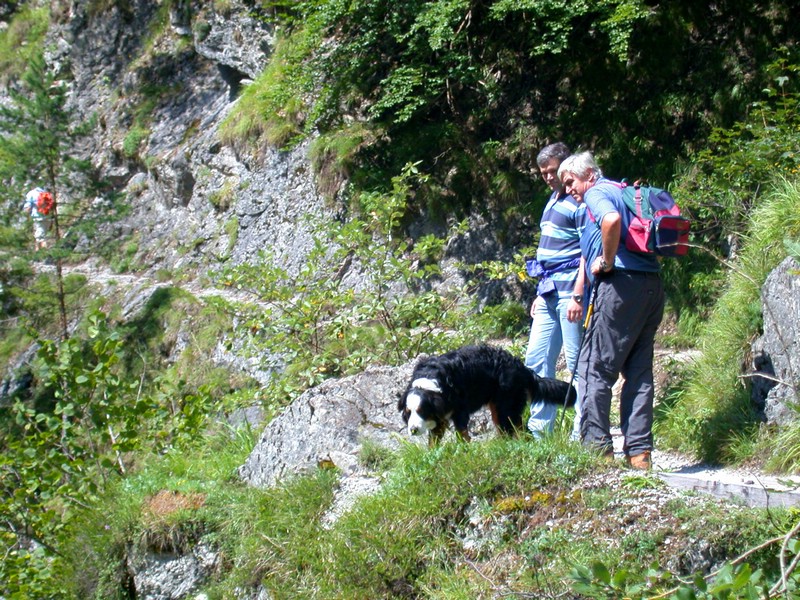 DSCN3298.JPG