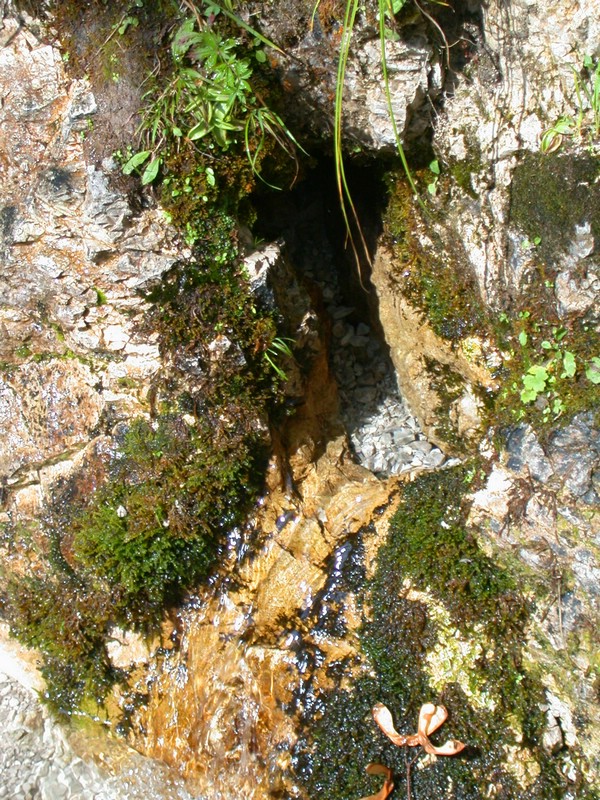 DSCN3306.JPG