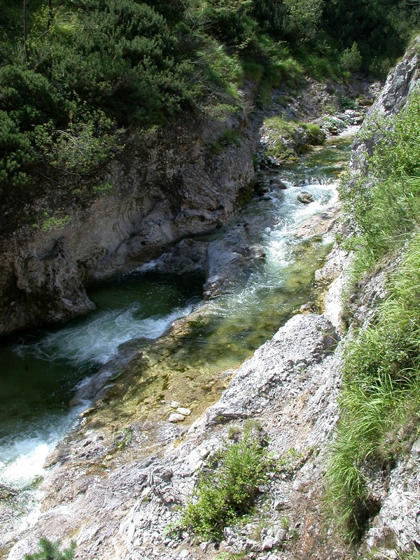 DSCN3309.JPG
