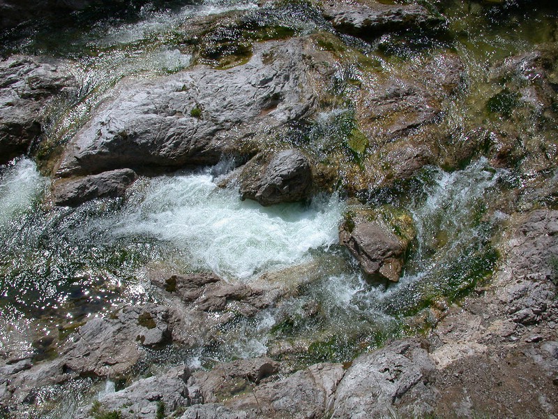 DSCN3310.JPG
